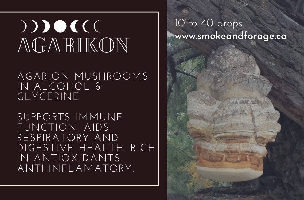 Agarikon Tincture