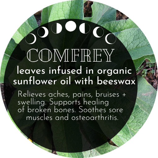 Comfrey Salve