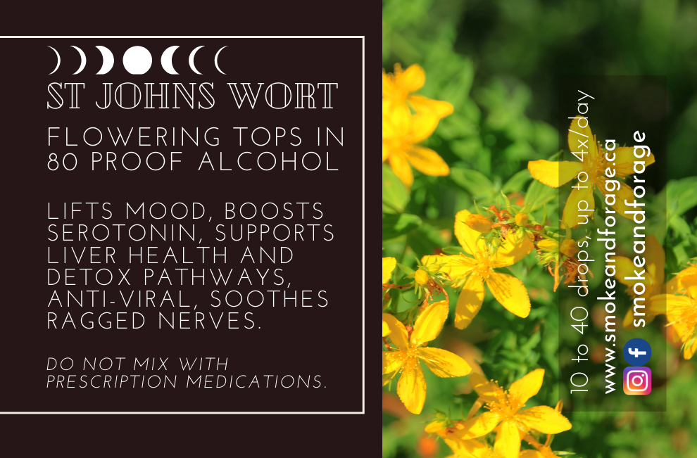 St John's Wort Tincture