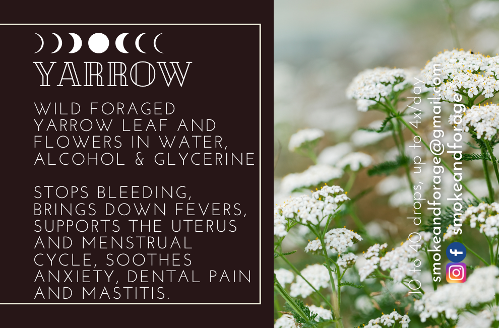 Yarrow Tincture