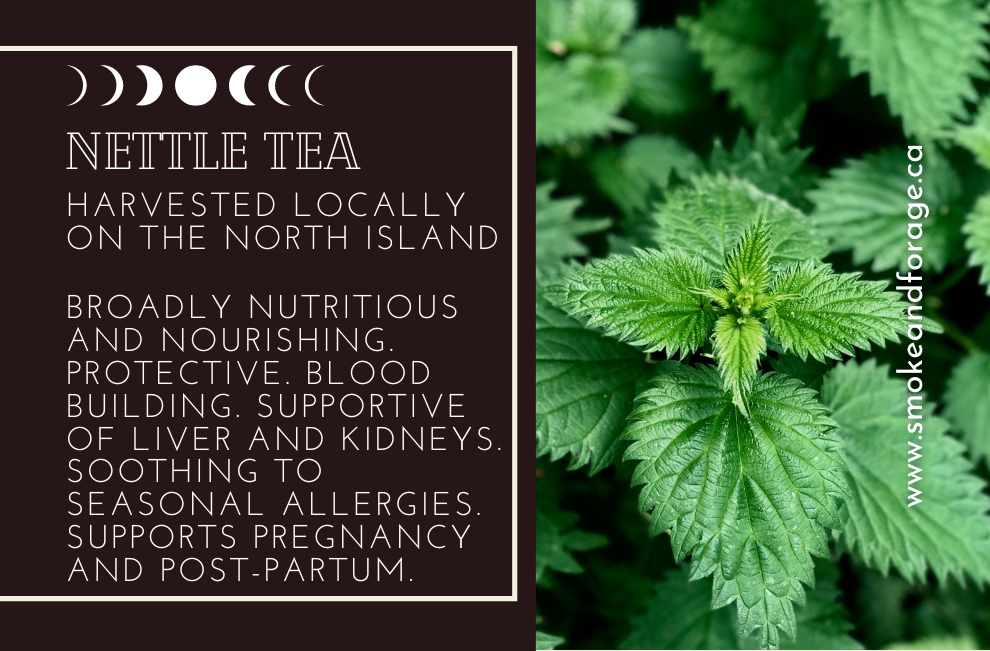 Stinging Nettle Tea