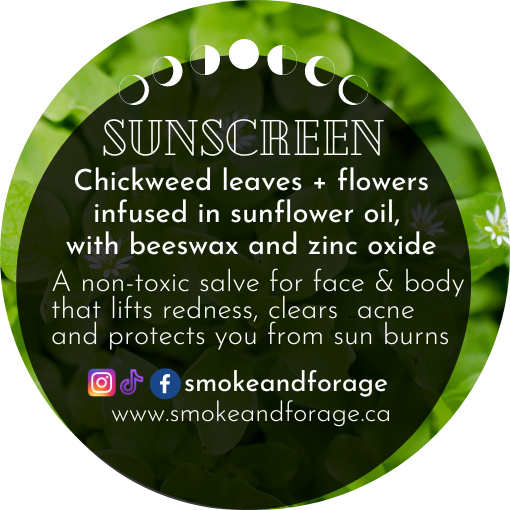 Chickweed + Zinc Sunscreen