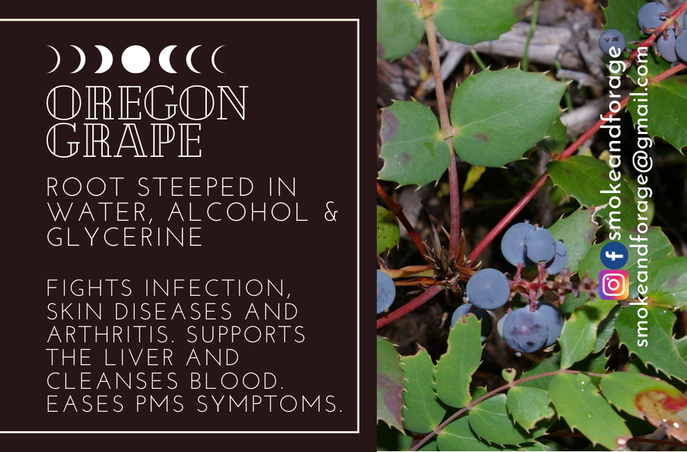 Oregon Grape Root Tincture