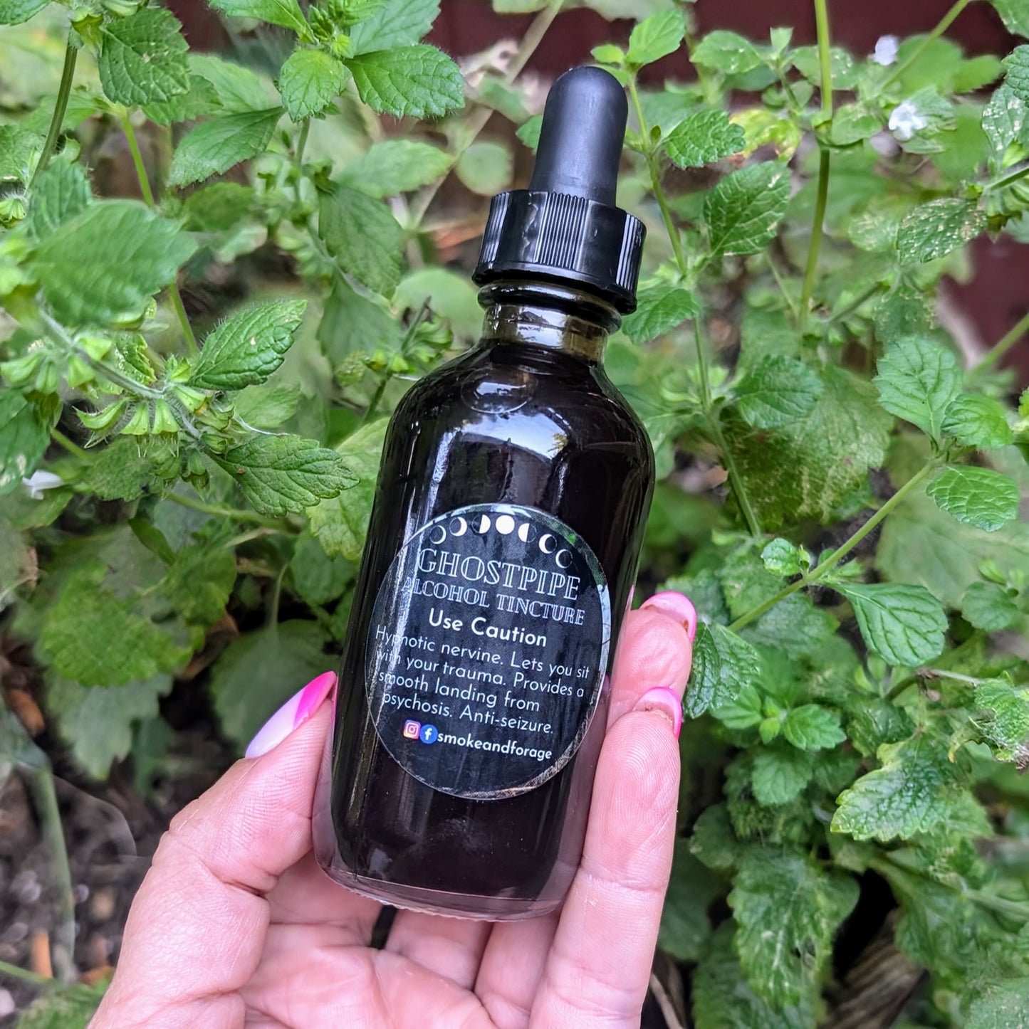 Ghost Pipe Tincture