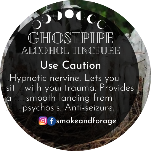 Ghost Pipe Tincture