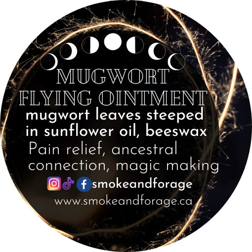 Mugwort Flying Ointment