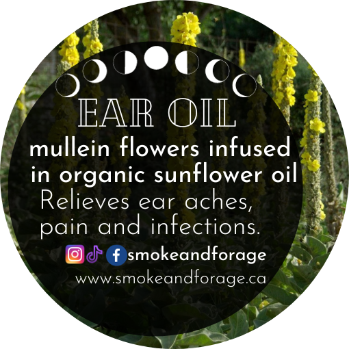 Mullein Flower Ear Oil