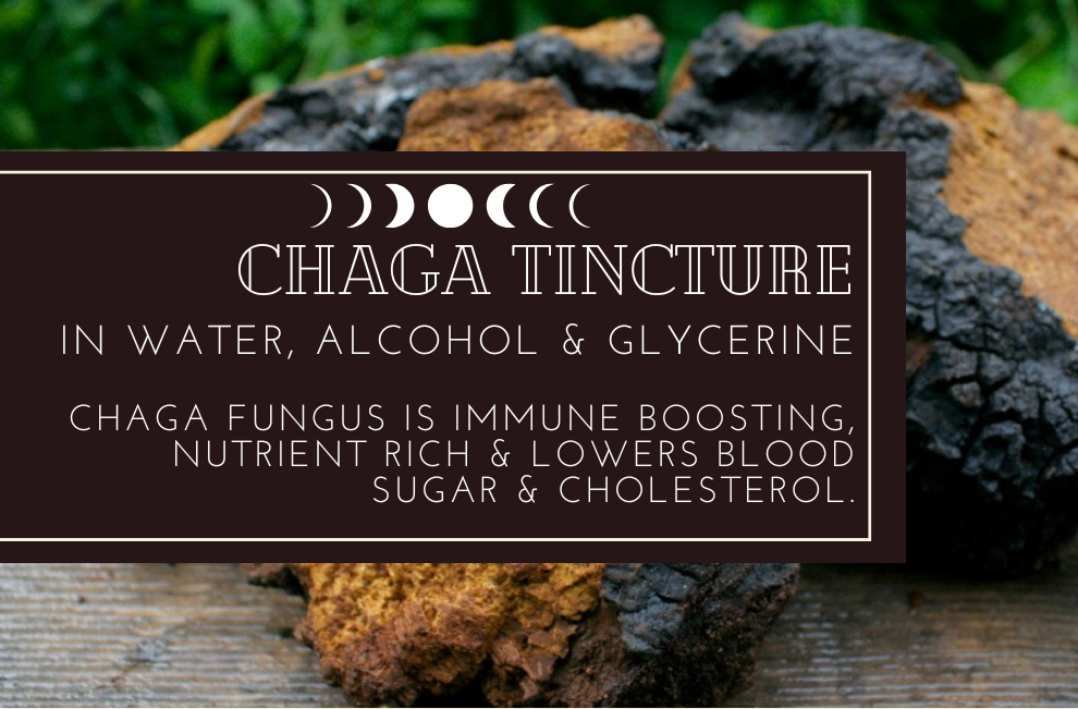 Chaga Tincture