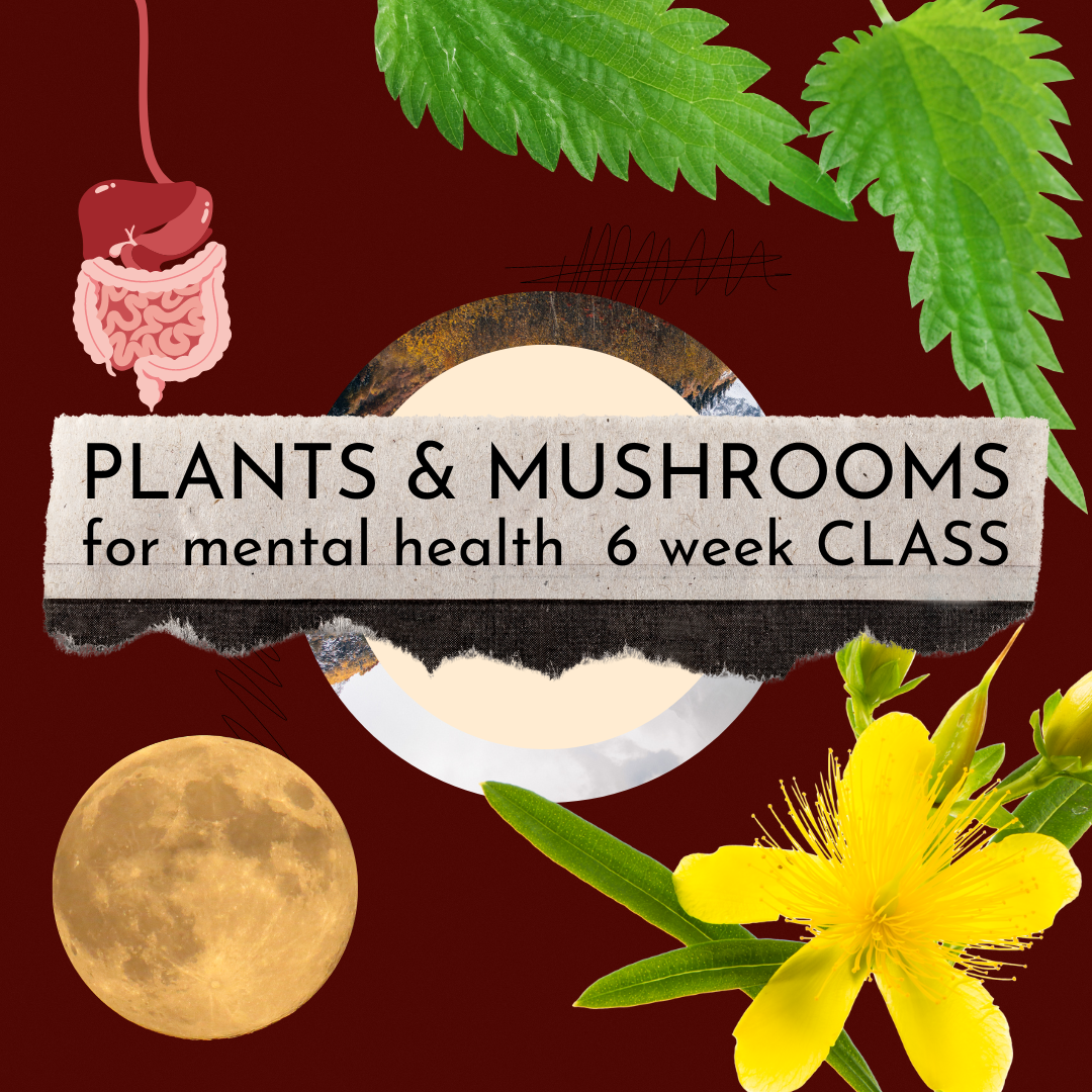 Plants + Mushrooms for Mental Health