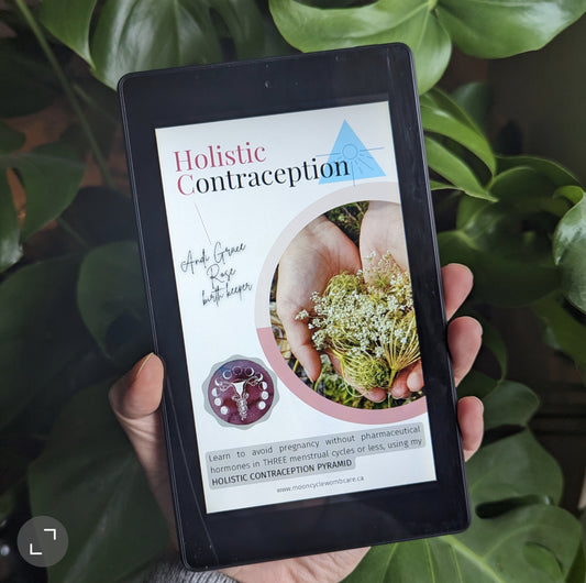 Holistic Contraception E-book